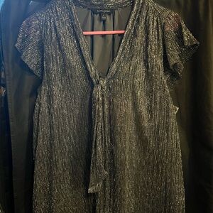 Banana Republic Shimmering Silver Dress